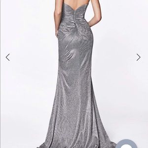 Cinderella divine medium silver trumpet dress